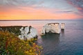 Old Harry Rocks in Dorset.