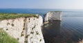 Old Harry Rocks Panorama