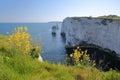 Old Harry Rocks, white cliffs located at Handfast point near Swanage Royalty Free Stock Photo