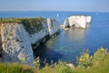 Old Harry Rocks, white cliffs located at Handfast point near Swanage Royalty Free Stock Photo