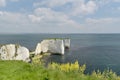 Old Harrys Rocks, Dorset Royalty Free Stock Photo