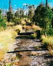 Old Hawaii Road