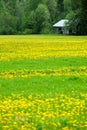 Old hay loft in field Royalty Free Stock Photo