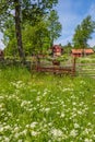 Old hay tedders in a meadow in rural environment Royalty Free Stock Photo