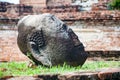 Old head of Buddha destroyed