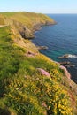 Old head of Kinsale Royalty Free Stock Photo