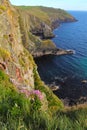 Old head of Kinsale covered by flowers Royalty Free Stock Photo
