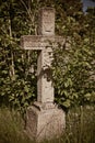 Old headstone in nature