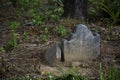 Abandoned cemetery from the 1800s