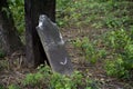 Abandoned cemetery from the 1800s