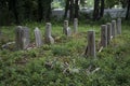 Abandoned cemetery from the 1800s