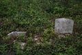 Abandoned cemetery from the 1800s