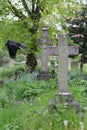 Black crow bird and old tombstones in the form of a cross Royalty Free Stock Photo
