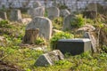 Old headstones in a rural cemetery Royalty Free Stock Photo