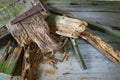 Old heap of old broken wood boards with old nails.