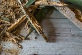 Old heap of old broken wood boards with old nails. Texture background.