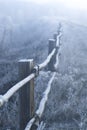 An old hedge in a frost on a frosty winter morning. Royalty Free Stock Photo