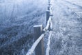 An old hedge in a frost on a frosty winter morning. Royalty Free Stock Photo