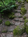 Old hidden decorative stone staircase in botanical garden with moss covered rocks Royalty Free Stock Photo