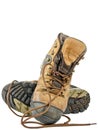 Old hiking boots Royalty Free Stock Photo