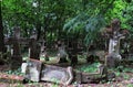 Old historic cemetery on the Polish-Ukrainian border