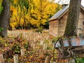 An old historic unpainted cottage with trees saplings and old cart on the foreground in the autumn afternoon Royalty Free Stock Photo