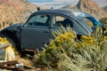 Closeup of a VW Bug in a Nevada desert