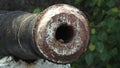 old historical cannon, gunnery remains, Kochi port