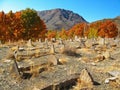 An old historical cemetery near Abyaneh Village , Iran Royalty Free Stock Photo