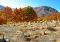 An old historical cemetery near Abyaneh Village , Iran Royalty Free Stock Photo