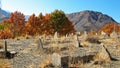 An old historical cemetery near Abyaneh Village , Iran Royalty Free Stock Photo