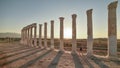 Old historical columns concept