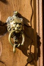 Vintage door knocker - lion head with snake Royalty Free Stock Photo