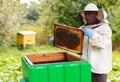 Old hiver in protective suit with hive frame