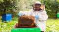 Old hiver in protective suit with hive frame