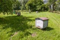 Old hives in garden Royalty Free Stock Photo