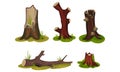 Old Hollow Stubs and Moss-covered Stumps Standing on Green Patch Vector Set