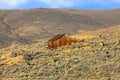Old home in California desert Royalty Free Stock Photo