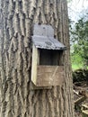 Old homemade bird-box attached to a tree