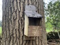 Old homemade bird-box attached to a tree