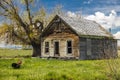 Old homestead deserted disrepair green grass tree