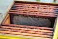 Old honeycomb frames in a wooden beehive