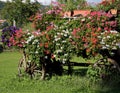 Old horse cart with flowers Royalty Free Stock Photo