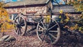 Old horse cart in Hahndorf during autumn season Royalty Free Stock Photo