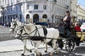 Old horse-drawn carriage riding on city street at Hofburg palace in Vienna. Horse carriages  in vintage style carriages with Royalty Free Stock Photo