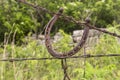 Old horseshoe on barbed wire fence Royalty Free Stock Photo