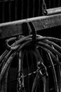 Old horseshoe and rope in barn Royalty Free Stock Photo