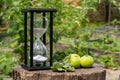 Old hourglass and green apples on wooden deck on a blurred background of a green garden. Glass sandglass in a black Royalty Free Stock Photo