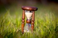 Old hourglass among green grass