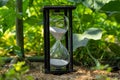 Old hourglass standing on ground strewn with hay. Glass sandglass in black wooden case with white flowing sand. Close up Royalty Free Stock Photo